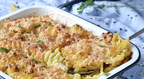 Gratin de pâtes au poulet et à la béchamel, doré et gratiné, garni de persil frais.