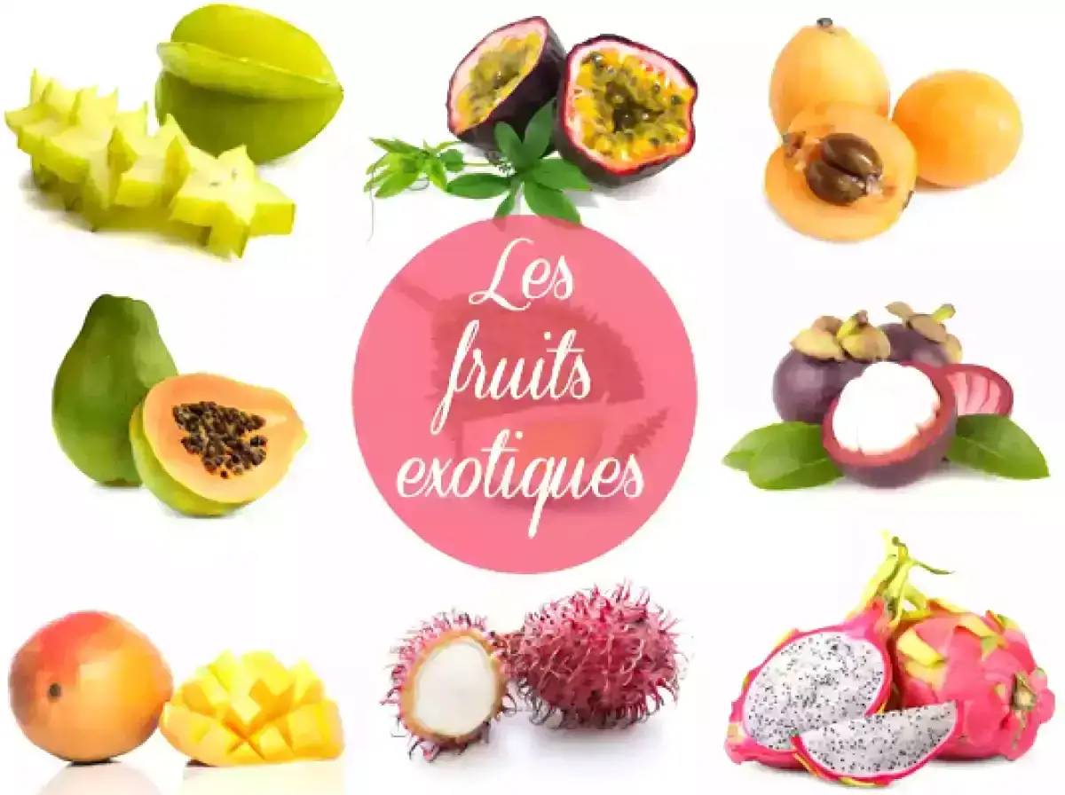assortiment de fruits exotiques colorés