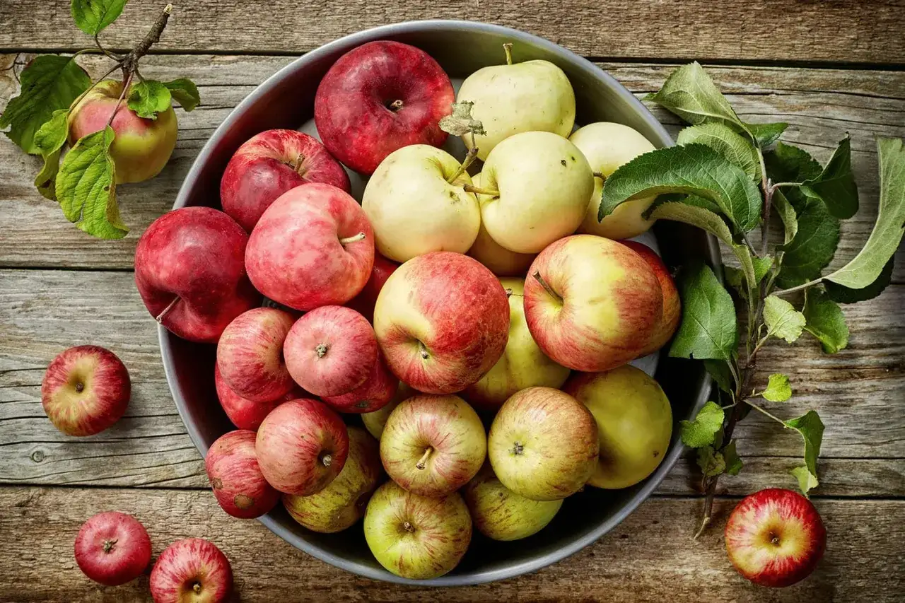 Différentes variétés de pommes pour la cuisson
